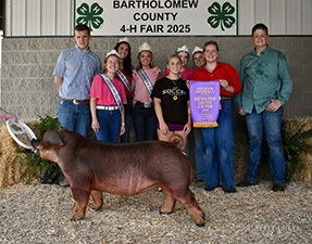 4th Overall Gilt
2025 Bartholomew County Fair
