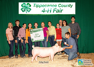 5th Overall Barrow
2025 Tippecanoe County Fair