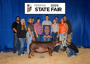 3rd Overall Division 2 Duroc Barrow
2025 Indiana State Fair