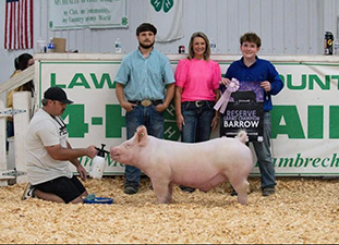 Reserve Grand Barrow
2025 Lawrence County Fair