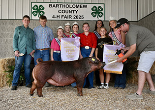 Reserve Grand Gilt
2025 Bartholomew County Fair