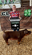 Reserve Purebred Barrow
2025 Clay County Fair
