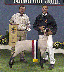 Beam Winners