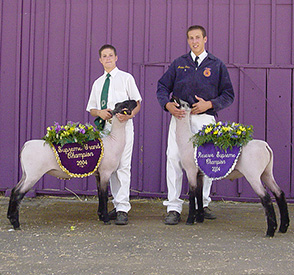 Beam Winners