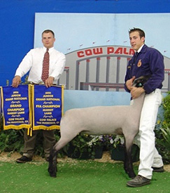 Beam Winners