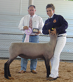 Beam Winners