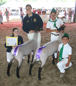 Beam Winners