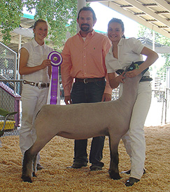 Beam Winners