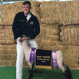 Beam Ranch Winners