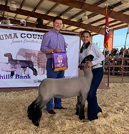 Beam CLub Lambs Winners