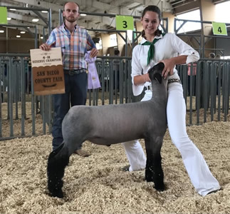 Beam Ranch Winners
