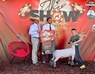 Bam Ranch Winners