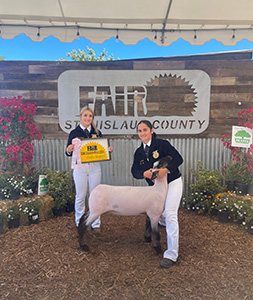 Beam Ranch Winners