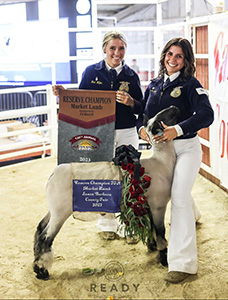 Beam Ranch Winners
