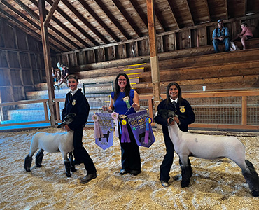Beam Ranch Winners