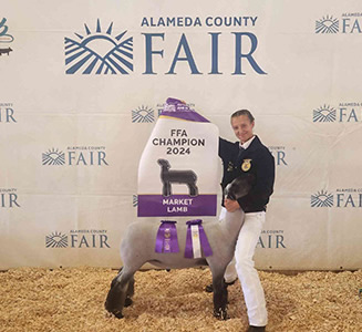 Beam Ranch Winners