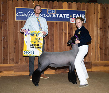 Beam Ranch Winners