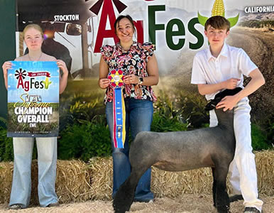 Beam Ranch Winners