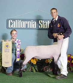 Beam Winners