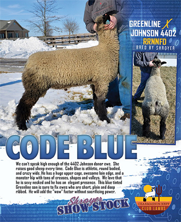 Code Blue